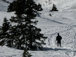 /Ski/2009/Images/1628/Photo 016Icon.jpg
